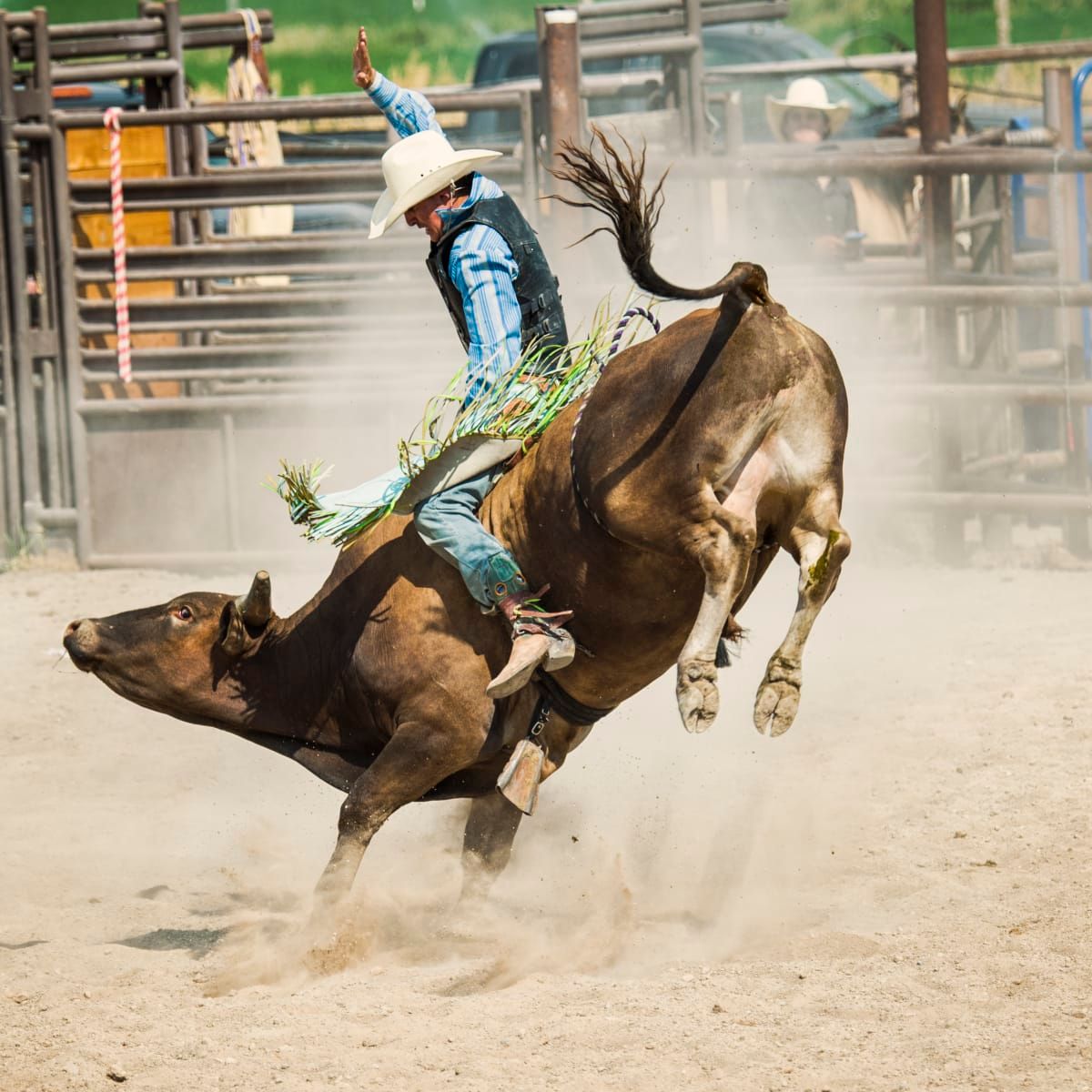 Magic Valley Stampede PRCA Rodeo at Twin Falls County Fairgrounds, Twin ...