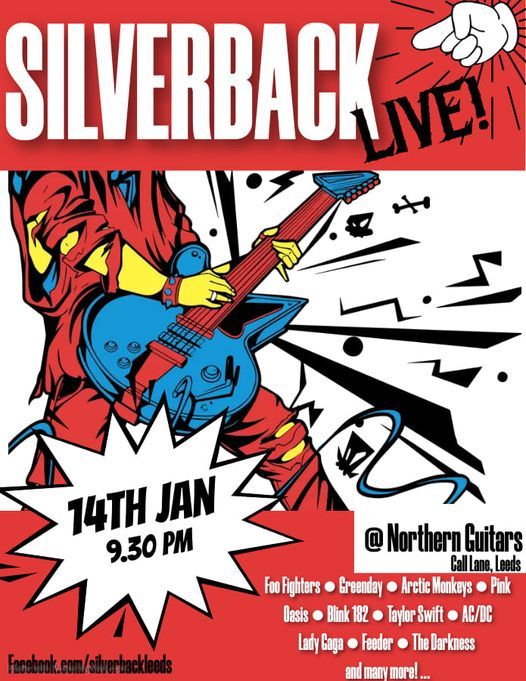 Silverback Northern Guitars, Leeds, Northern Guitars Cafe Bar, Leeds