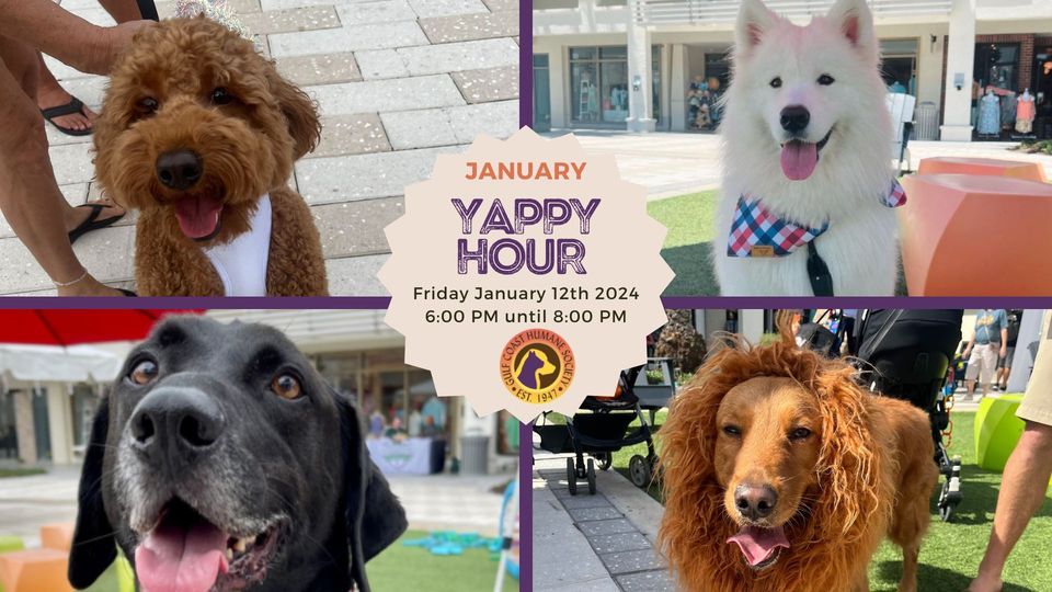 January Yappy Hour! , BELL TOWER SHOPS, Fort Myers, January 12 2024 AllEvents.in