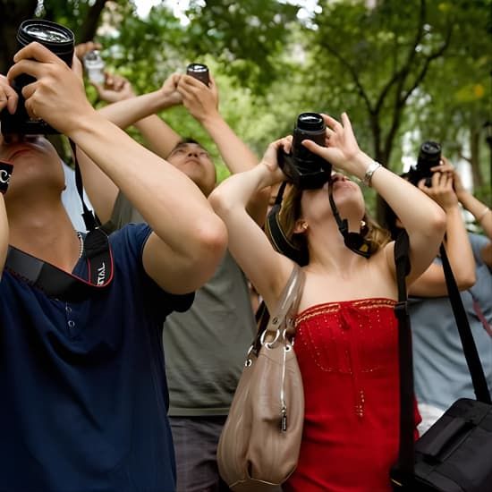 Central Park Photography Tour with Local Photographer, 14 June | Event in Manhattan | AllEvents