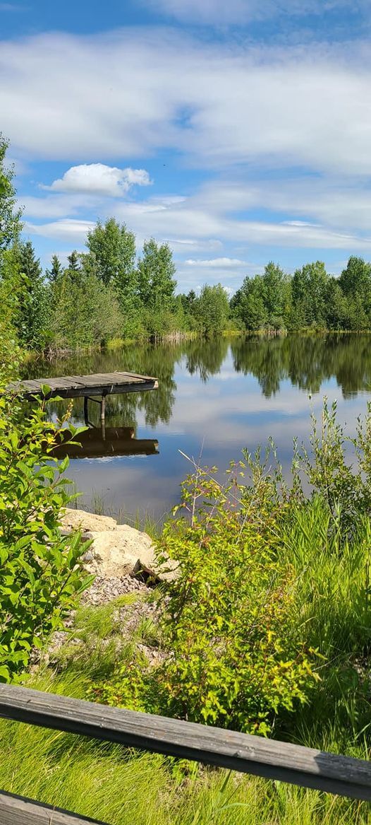 Country Christmas Convoy, LEDUC WEST Antique Society, December 11 2021