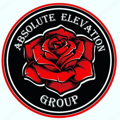 Absolute Elevation Group LLC logo