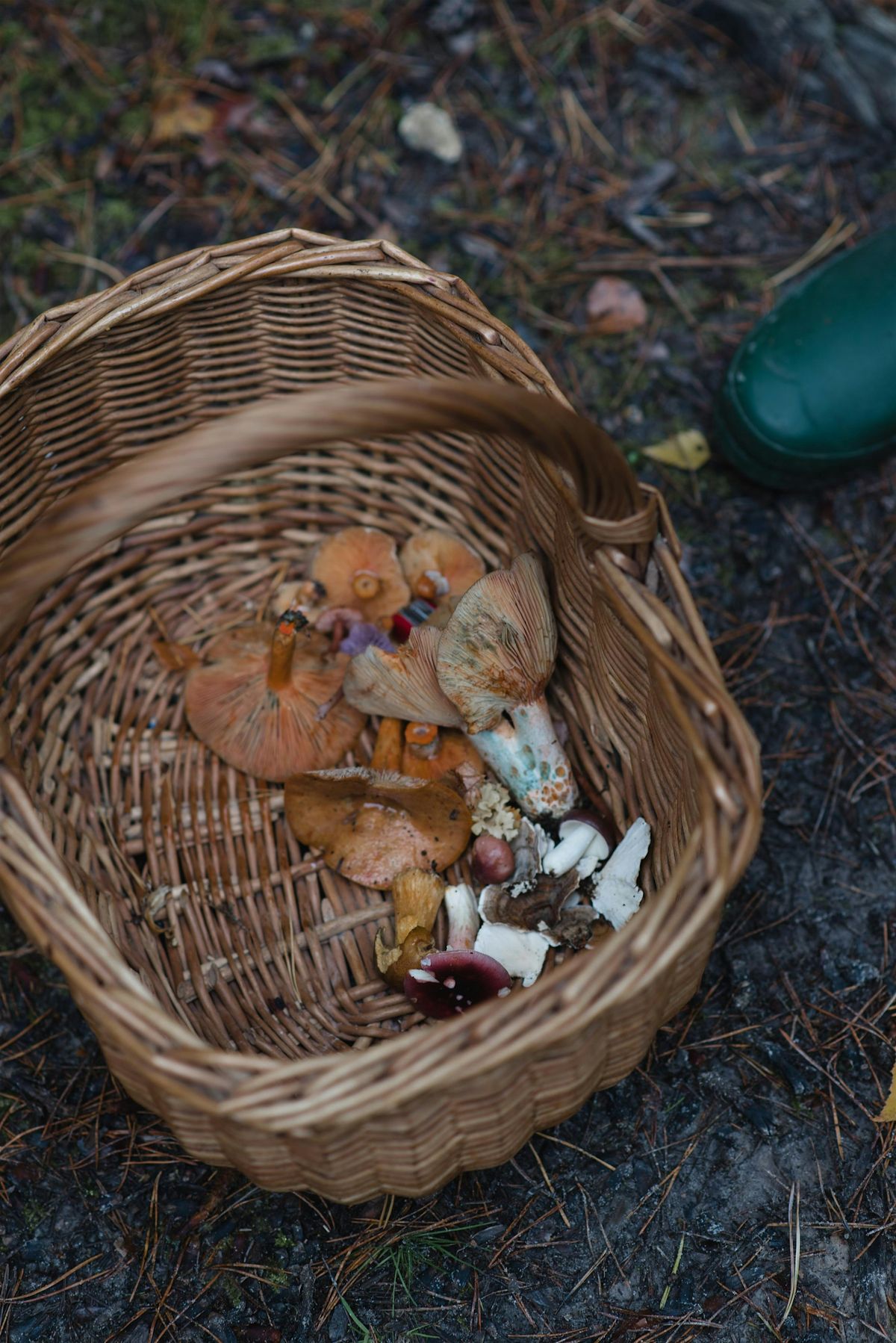 11th October mushroom walk