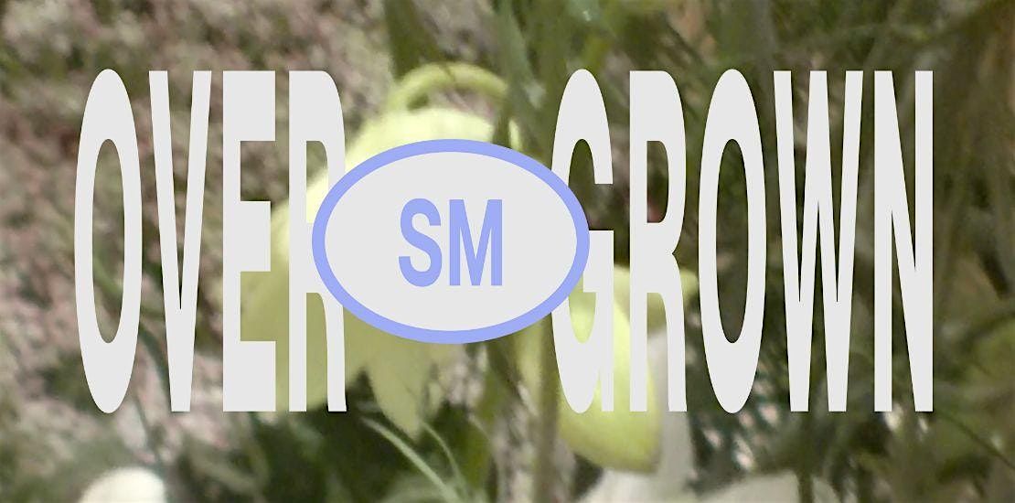 Overgrown: Forest Floor, Sensory Still Life, 14 December | Event in Woolloongabba | AllEvents