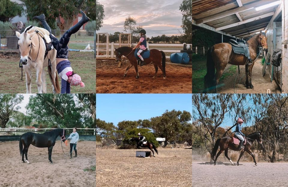 Games afternoon, Supremacy Park Performance Horses, Joondalup, December