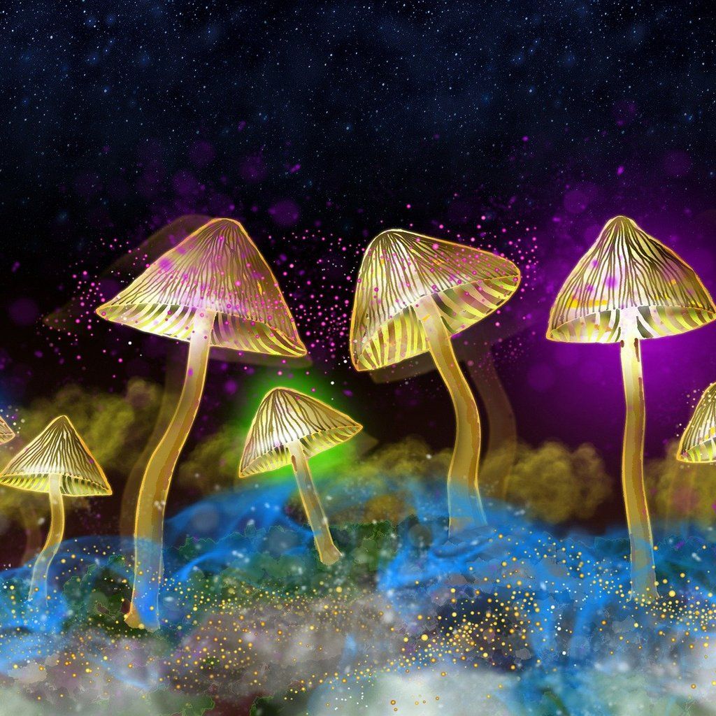 The Science of Psychedelics with Neuroscientist Maria Balaet, 23 July | Event in Sheffield | AllEvents