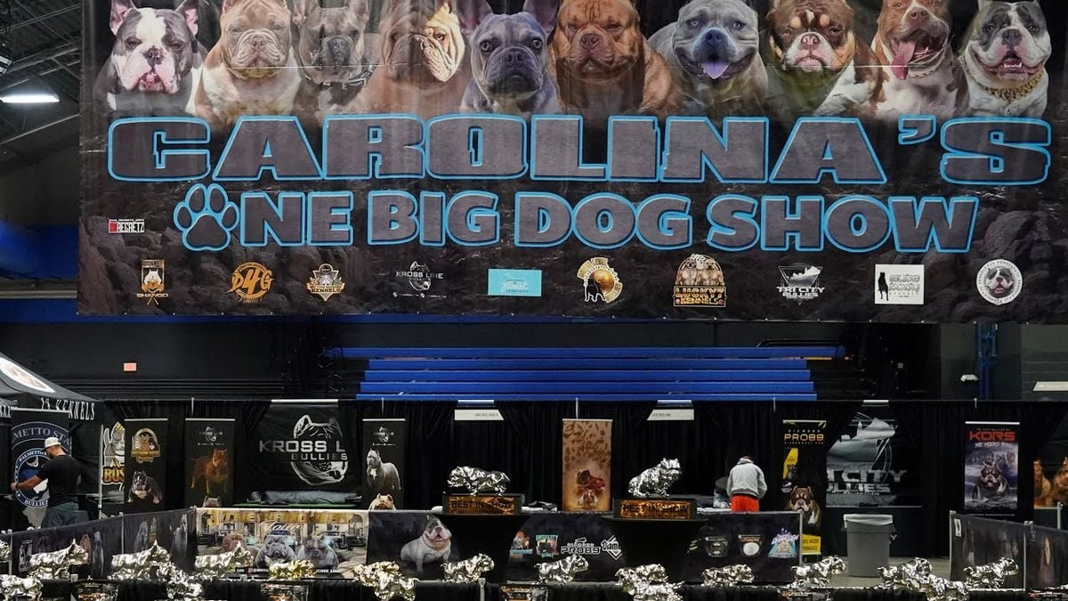 Carolinas One Big Dog Show at First Horizon Coliseum at Greensboro Complex, 27 September | Event in Greensboro
