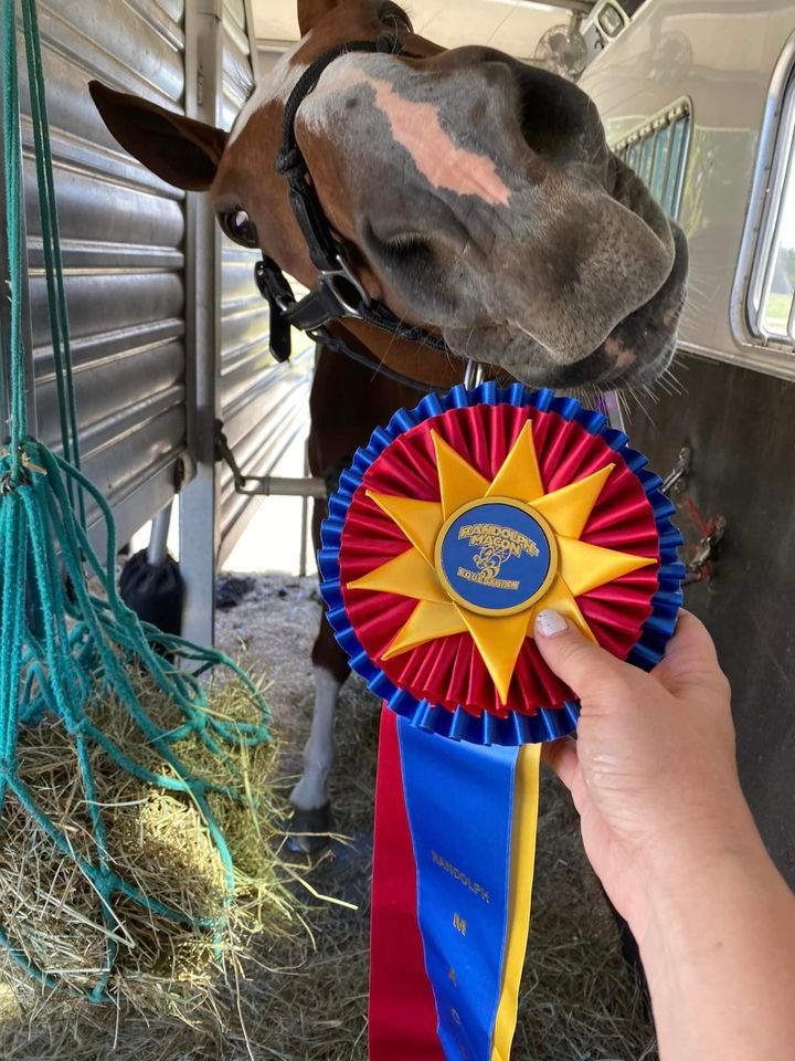 CVHS RMC Hunter prize list only, Randolph Macon Equestrian Center, Ashland, 25 March 2023