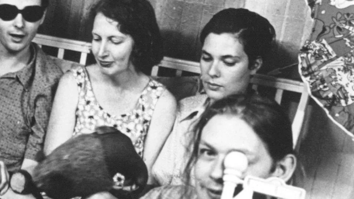 Stereolab in Limerick City, 20 February | Event in Limerick | AllEvents