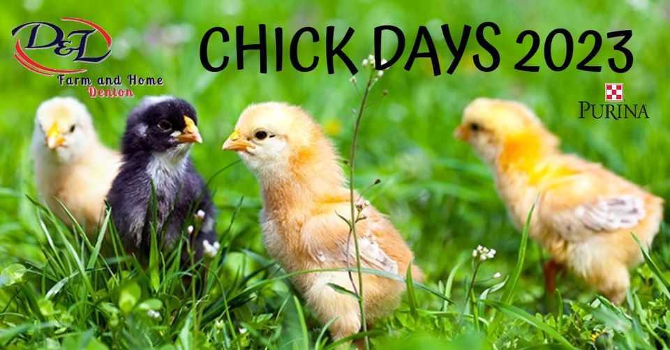 D&L Denton Chick Days 2023, D&L Farm and Home Denton, March 25 2023