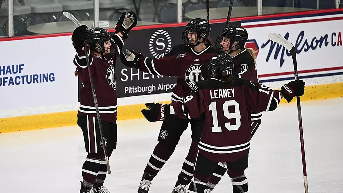 Colgate Raiders at Union College Garnet Chargers Mens Hockey at M and T Bank Center Schenectady, 13 February