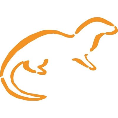 Nearly Wild Weaving logo