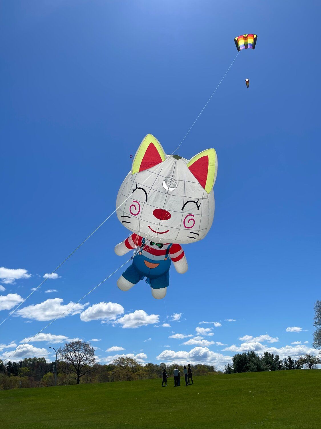 York Hot Air Balloon & Kite Festival - Saturday, 26 September | Event in Bronx | AllEvents