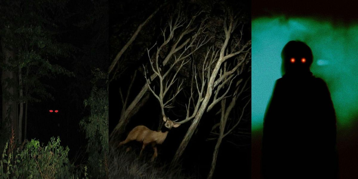 Appalachian Horror | Twickenham Writers, 6 February | Event in East Twickenham | AllEvents