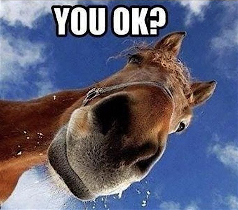 Unscheduled Dismounts: A falling and emergency dismount clinic, 13 December | Event in Zelienople | AllEvents