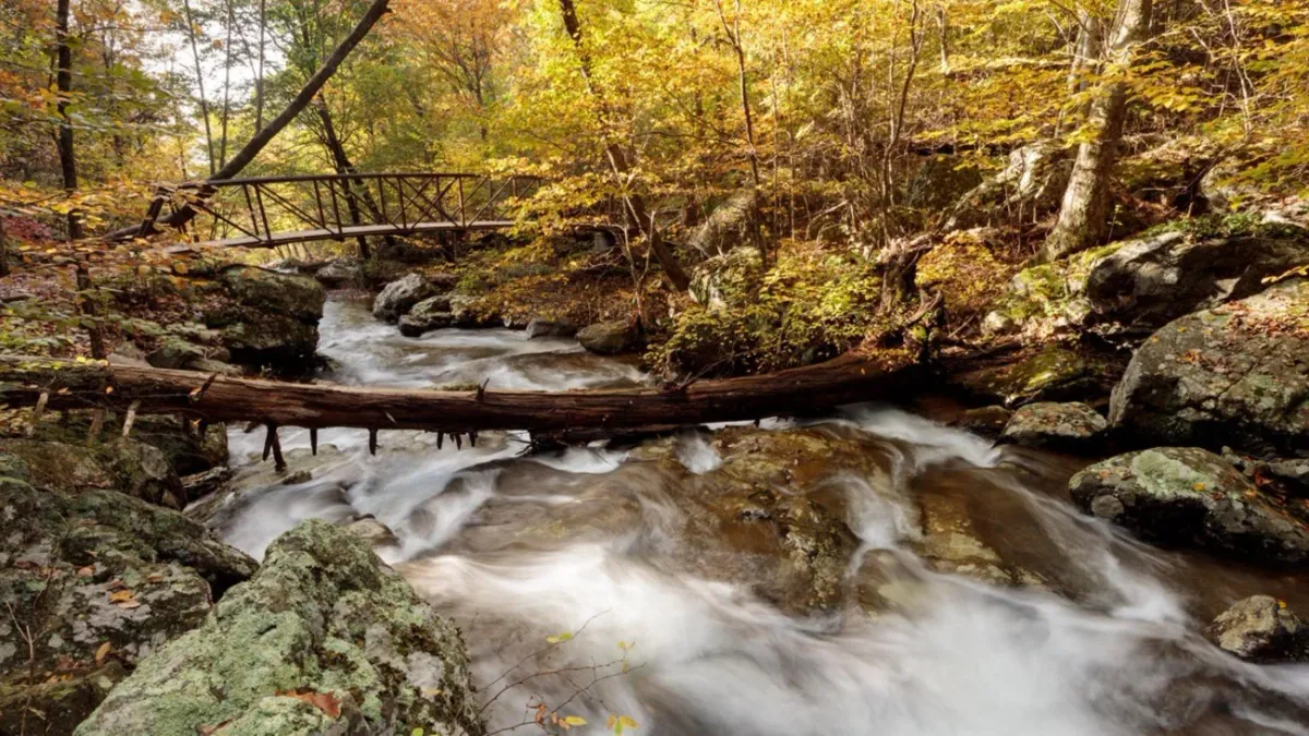 Cedar Run and Whiteoak Canyon Trail Loop - 8.5 miles-2,300+ elevation, 15 September | Event in Syria | AllEvents