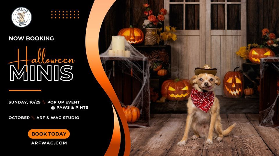 Halloween Minis Pop Up Paws & Pints, Paws and Pints, Des Moines, 29