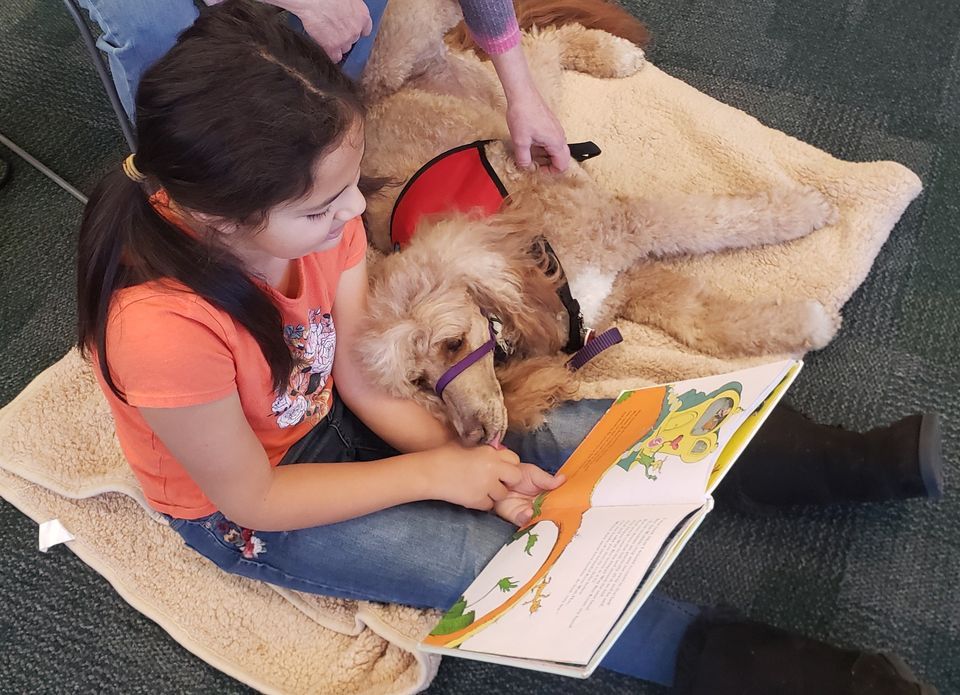 Read to the Dog Prescott Valley Library Prescott Valley Public read-to-the-dog-prescott-valley-library-prescott-valley-public