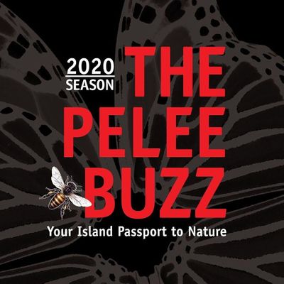 Passport to Nature--PELEE BUZZ logo