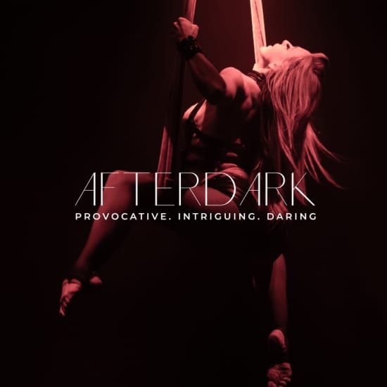 AfterDark by Pink Puma, 18 December | Event in Portland | AllEvents