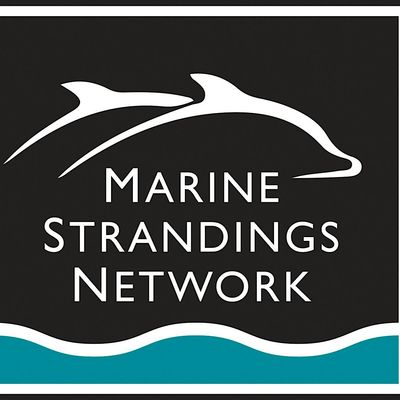 Cornwall Wildlife Trust - Marine Strandings Network