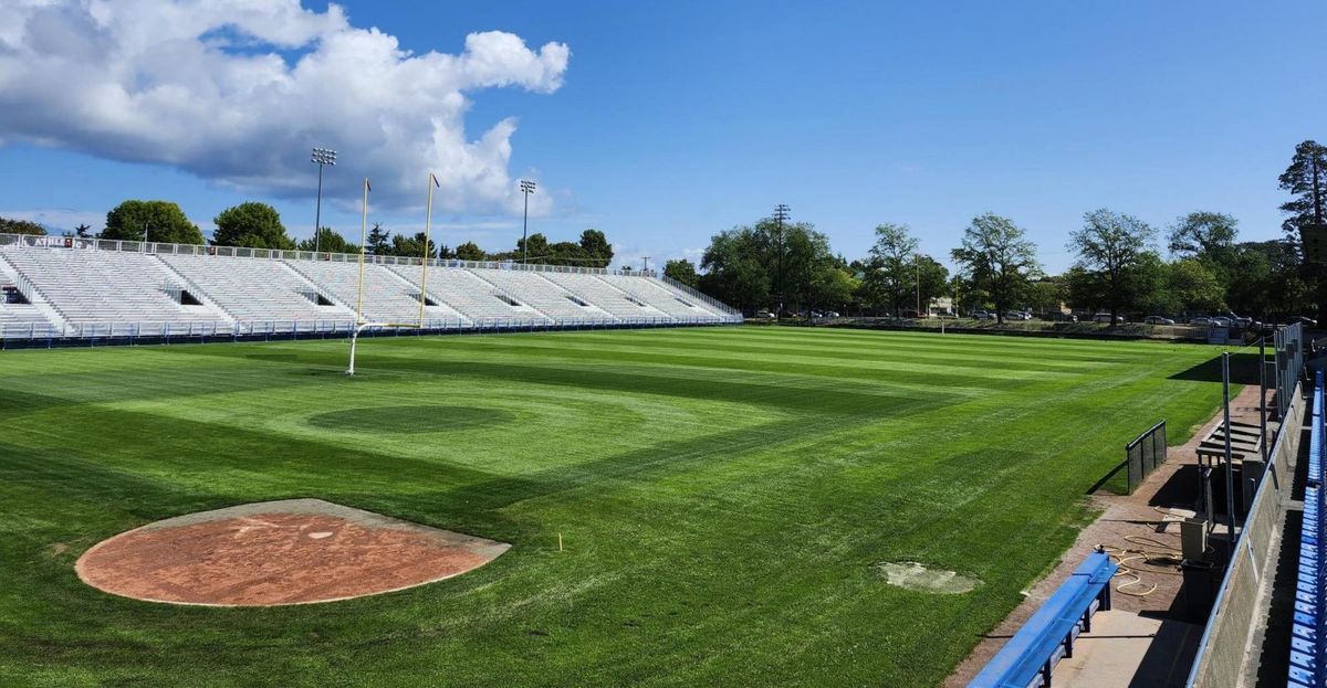 Parking BC Lions at Hamilton Tiger-Cats, 7 August | Event in Hamilton | AllEvents