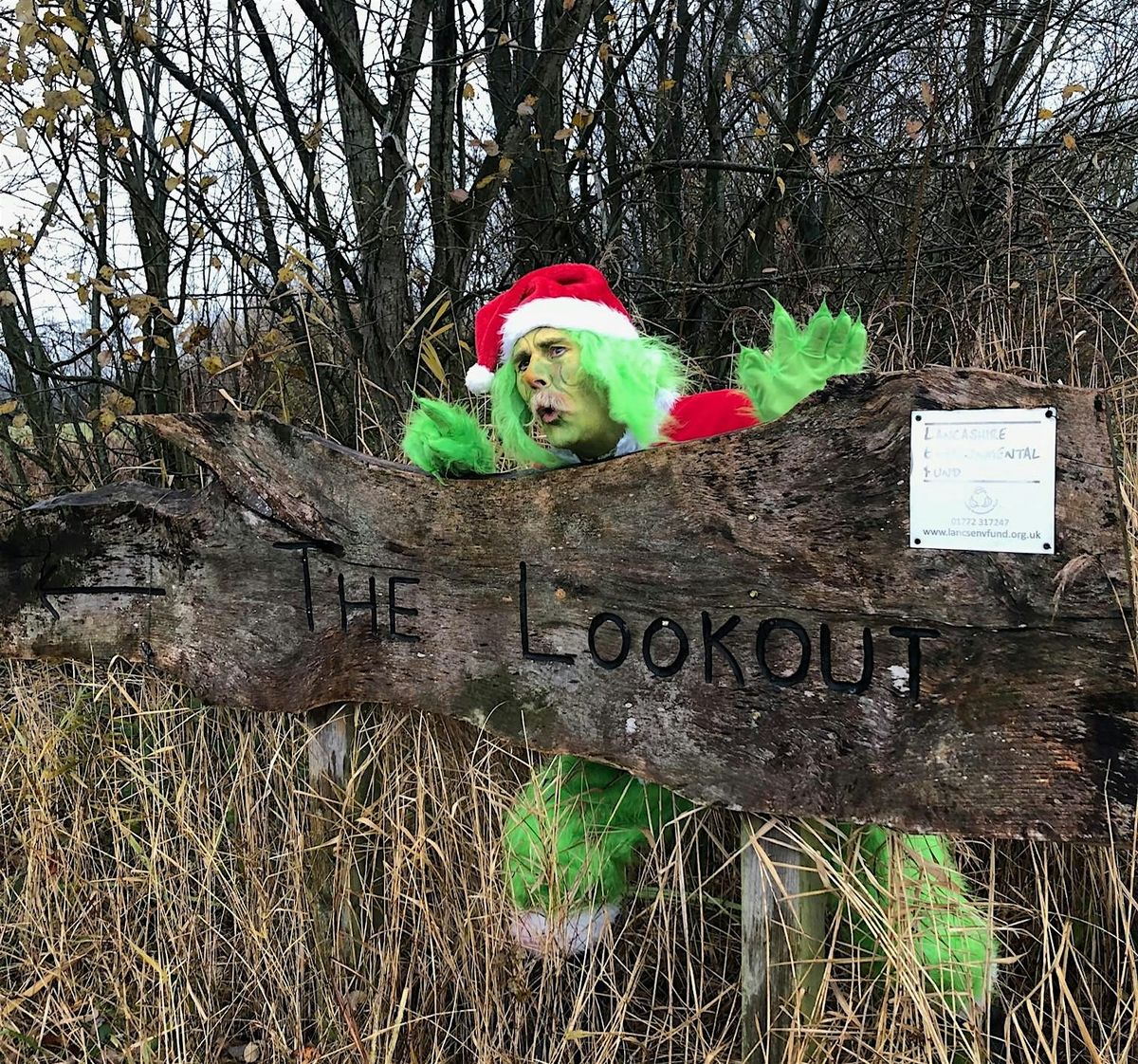 Mischievous Tree-Troll’s Grotto Takeover & Nature Trail, 24 December | Event in Blackburn | AllEvents