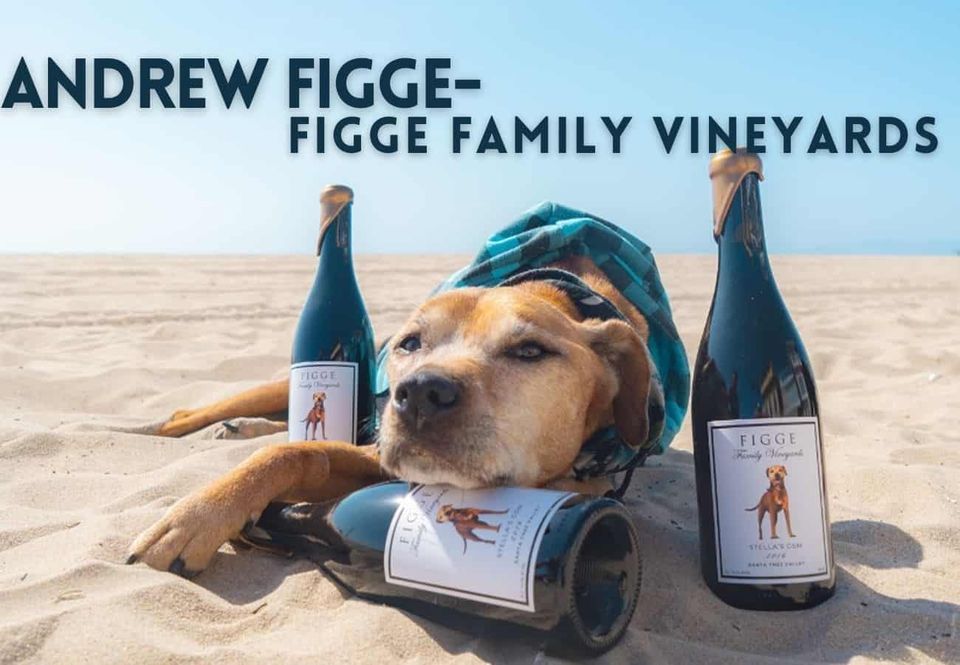 Figge Family in the House, Uncorked Wine Shops (Hermosa Beach, CA), 2