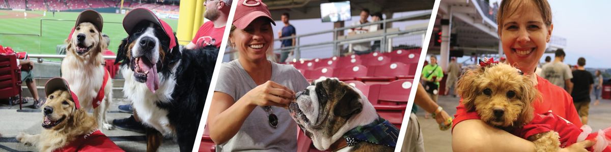 Minnesota Twins at Cincinnati Reds Tickets, 17 June | Event in Cincinnati | AllEvents