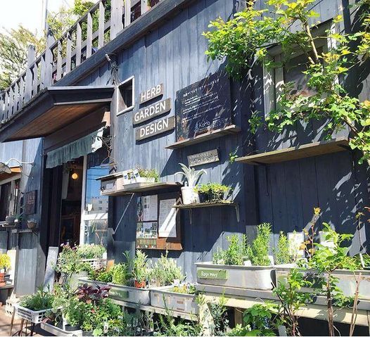 22 2 5 Koho Herb Garden 春に向けハーブを育てる 多年草のキッチンハーブたち と緑の相談室 ツォモリリ文庫 Shibuya City February 5 22 Allevents In 22 2 5 Koho Herb Garden 春に向けハーブを育てる 多年草のキッチンハーブたち と緑の相談室 ツォモリリ文庫 Shibuya City February 5 22 Allevents In