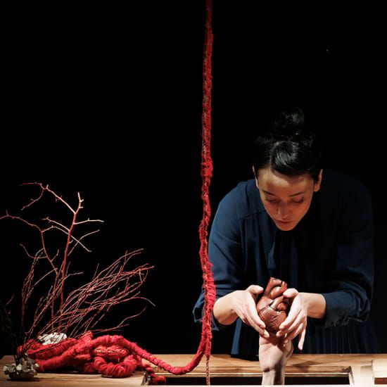 Festival Titirimundi: Teatros. El Patio Teatro. Entrañas, 16 May | Event in Segovia | AllEvents