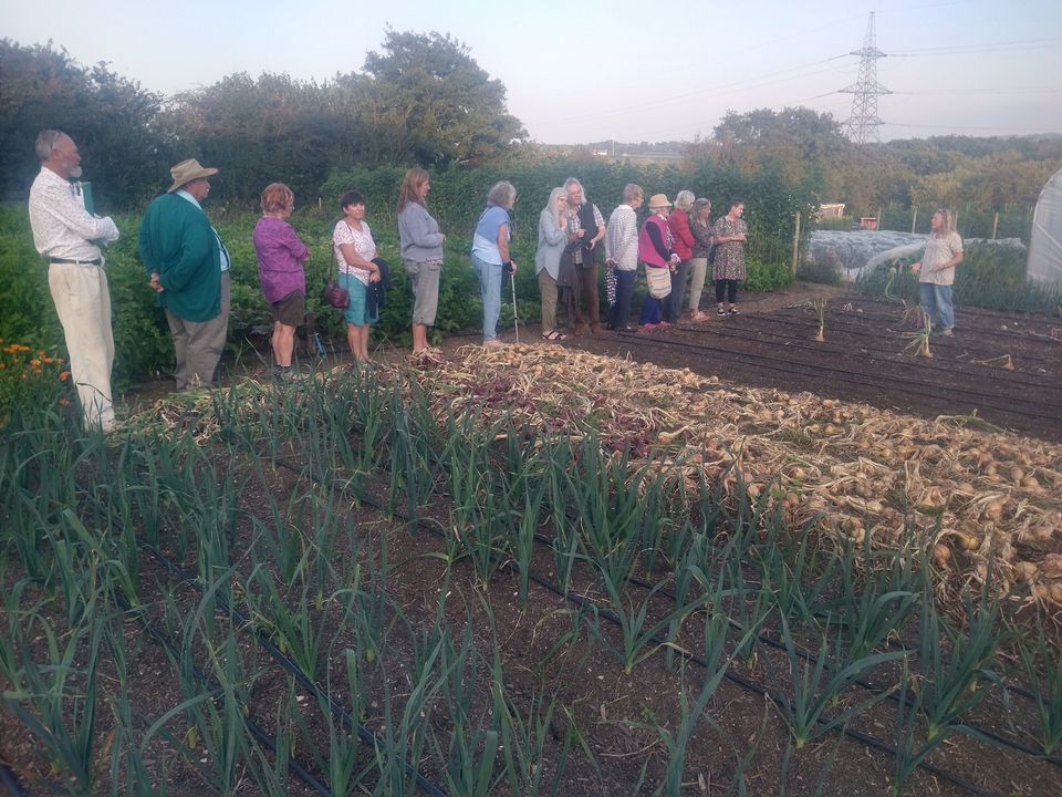 Grow You Own , The Real Food Garden, Bodmin, July 1 2023