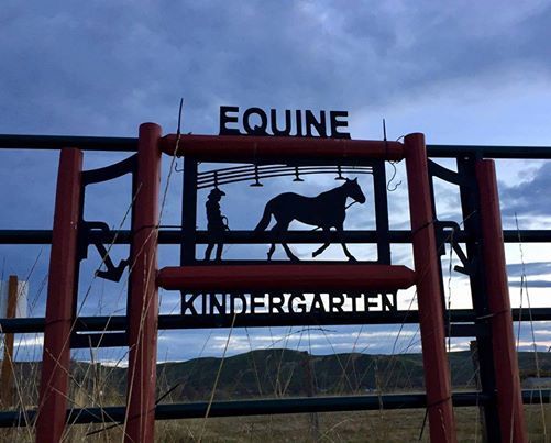 Equine Kindergarten Idaho Expo Roundpen Session At Idaho Horse
