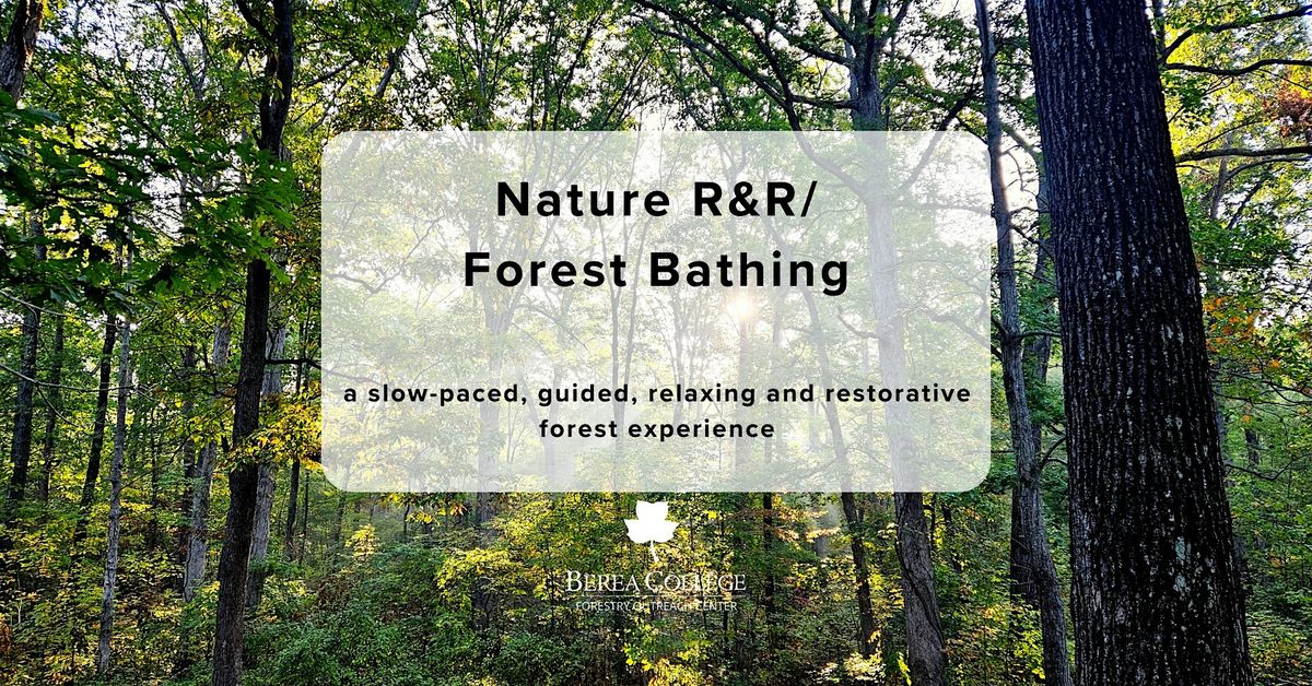 Nature R&R/Forest Bathing at Brushy Fork