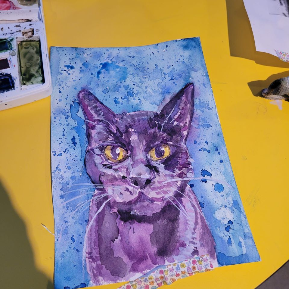 Senior Animal in the Arts, 46 Holland Road Kennebunk, ME, United States ...