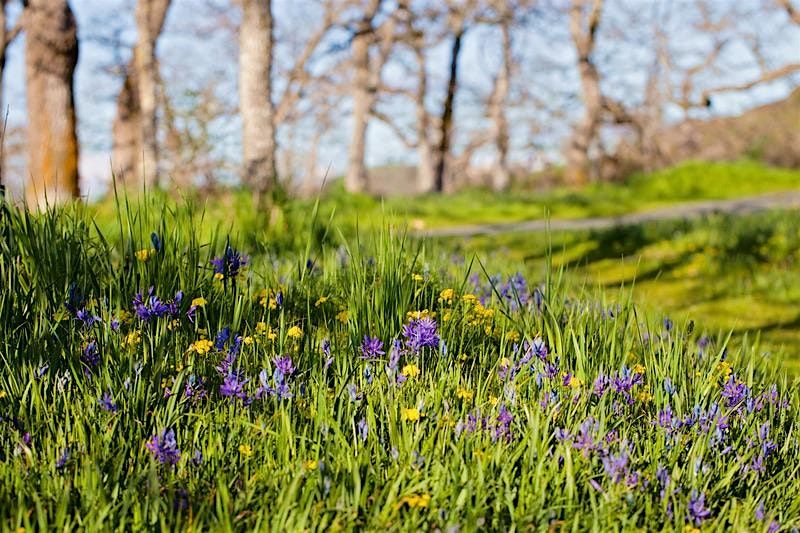 Gardening with Native Plants, 7 March | Event in Victoria | AllEvents