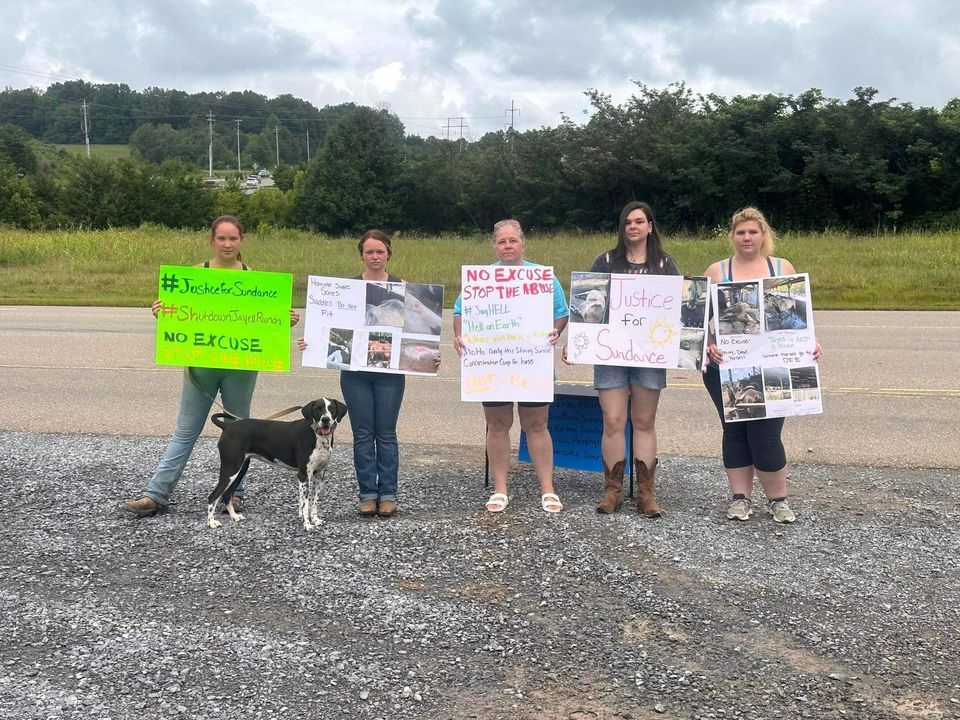 Shut Down Jayell Ranch Protest, 1131 Jayell Road, pigeon forge tn , 22 ...
