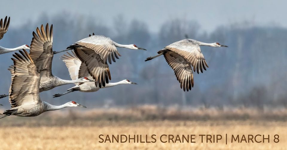 Sandhills Crane Trip, Crane Trust Nature and Visitor Center, Wood River