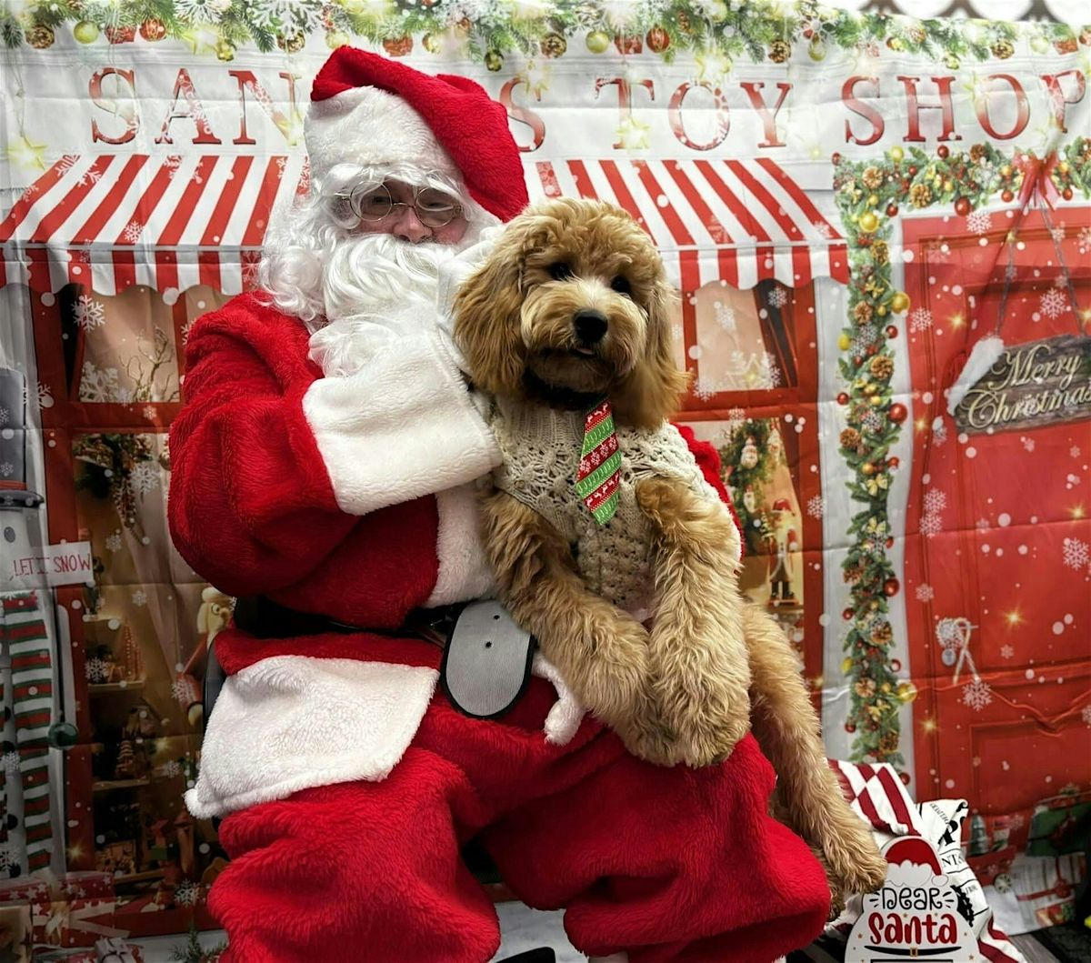 Pet Photos with Santa-Paws!, 13 December | Event in Easley | AllEvents