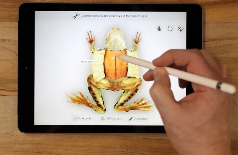 2021 2022 Slam Technology Fee Sports Leadership And Management Academy Miami 19 July To 27 March Verizon Events 2022