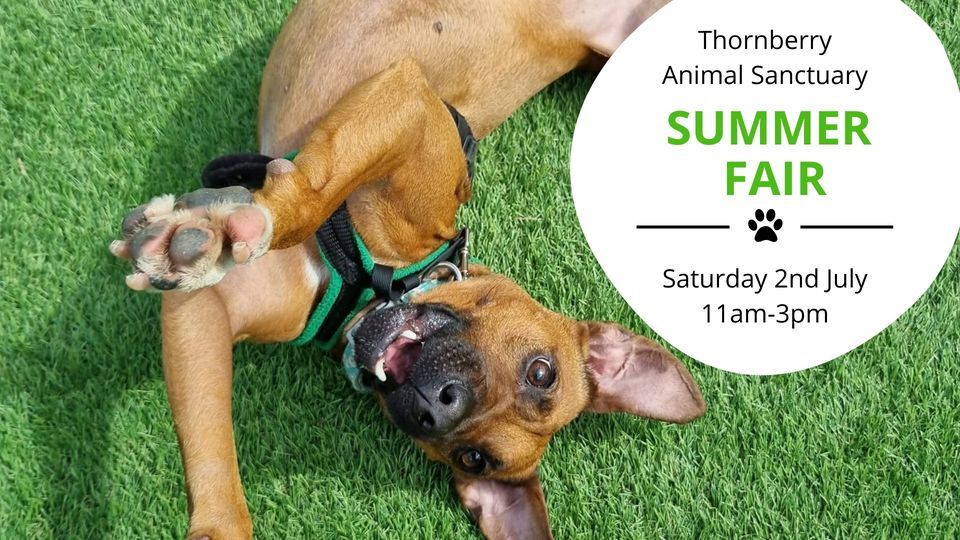 Thornberry Animal Sanctuary Summer Fair, Moor Lane North, Rotherham, S65 4, United Kingdom, Rawmarsh, July 2 2022 Thornberry Animal Sanctuary Summer Fair, Moor Lane North, Rotherham, S65 4, United Kingdom, Rawmarsh, July 2 2022