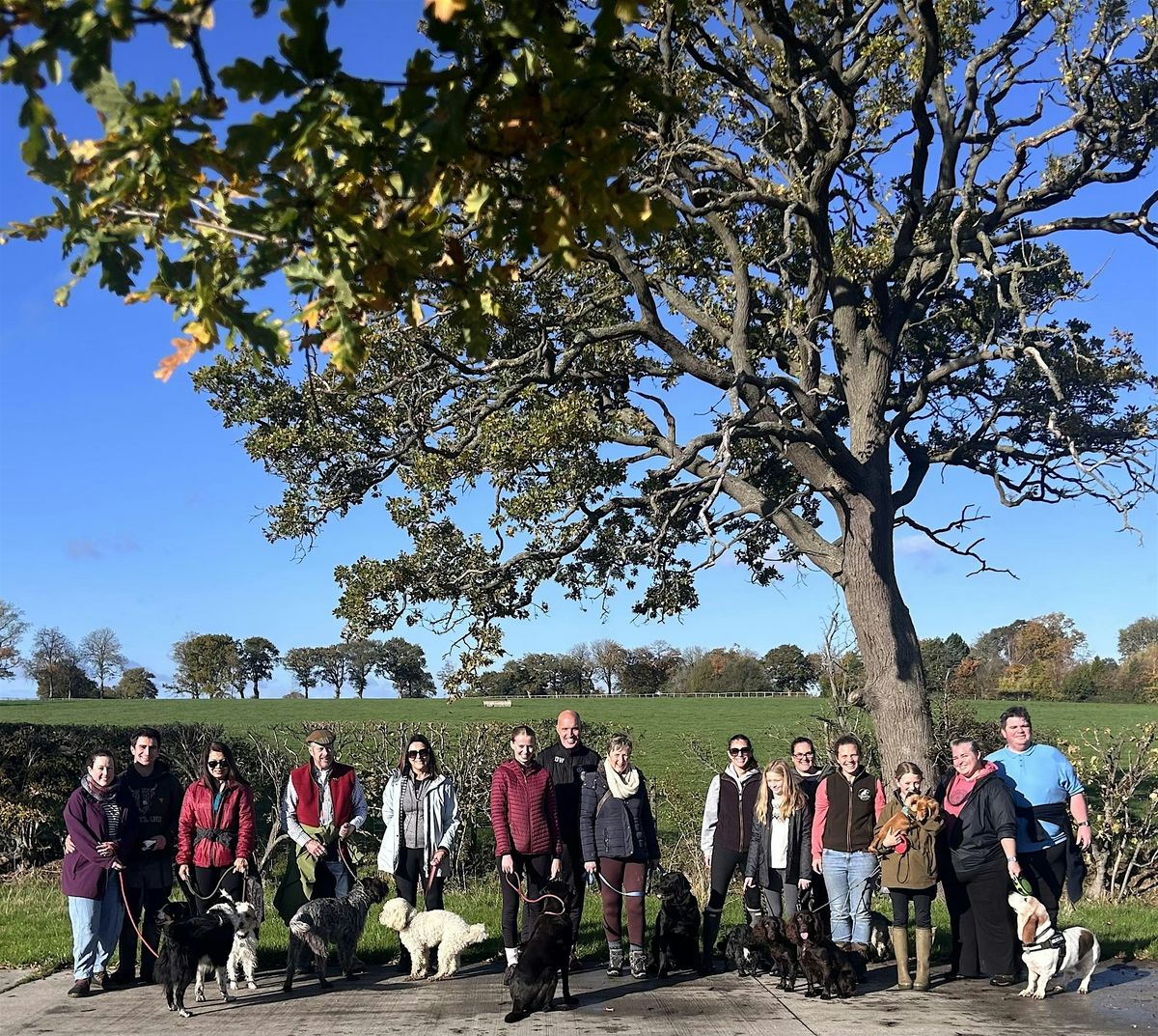 Paws & Pints Festive Walk, 28 December | Event in Whitchurch | AllEvents