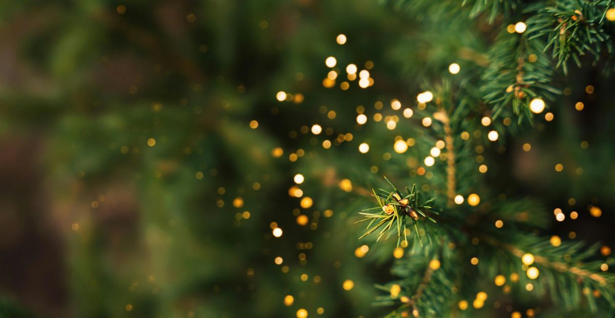 Holly Jolly Holiday Brunch at Le Croissant, 13 December | Event in New Orleans | AllEvents