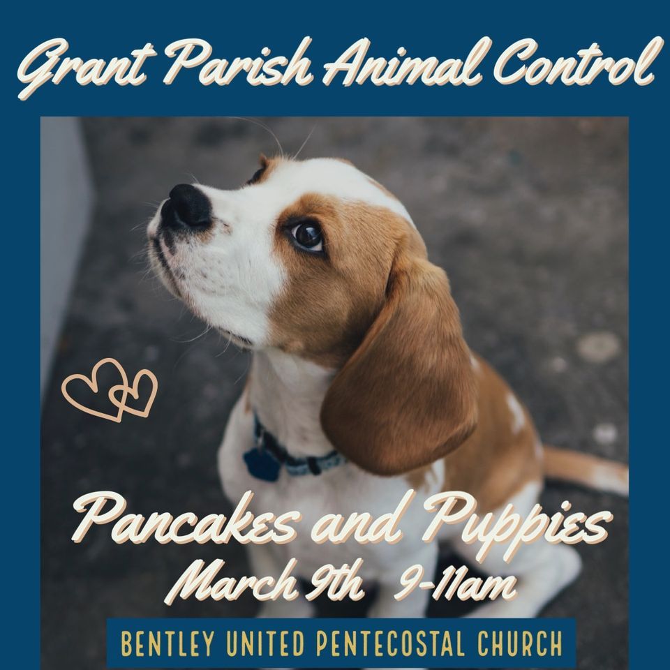 2nd Annual Pancakes & Puppies! , Bentley United Pentecostal Church, Dry