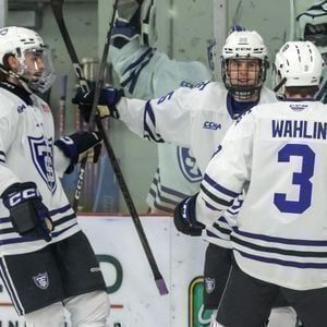 Parking Bowling Green State Falcons at Ferris State Bulldogs Mens Hockey