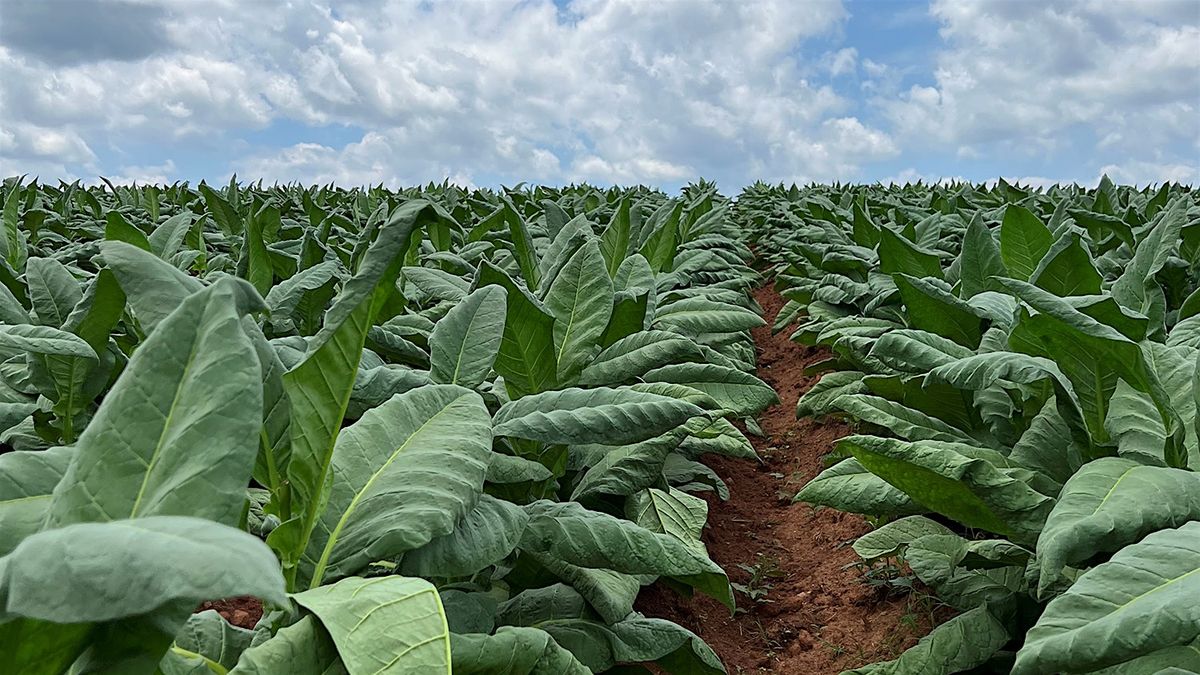 Northwest Piedmont Tobacco/GAP Meeting