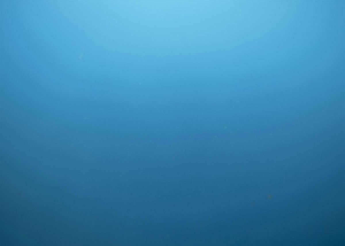 Cérémonie du Prix COAL et du Prix COAL étudiant 2025, 12 December | Event in Paris | AllEvents