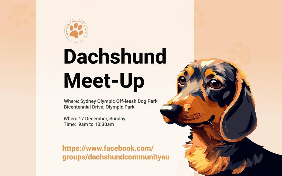 Dachshund Community MeetUp, Sydney Olympic Off leash Dog park