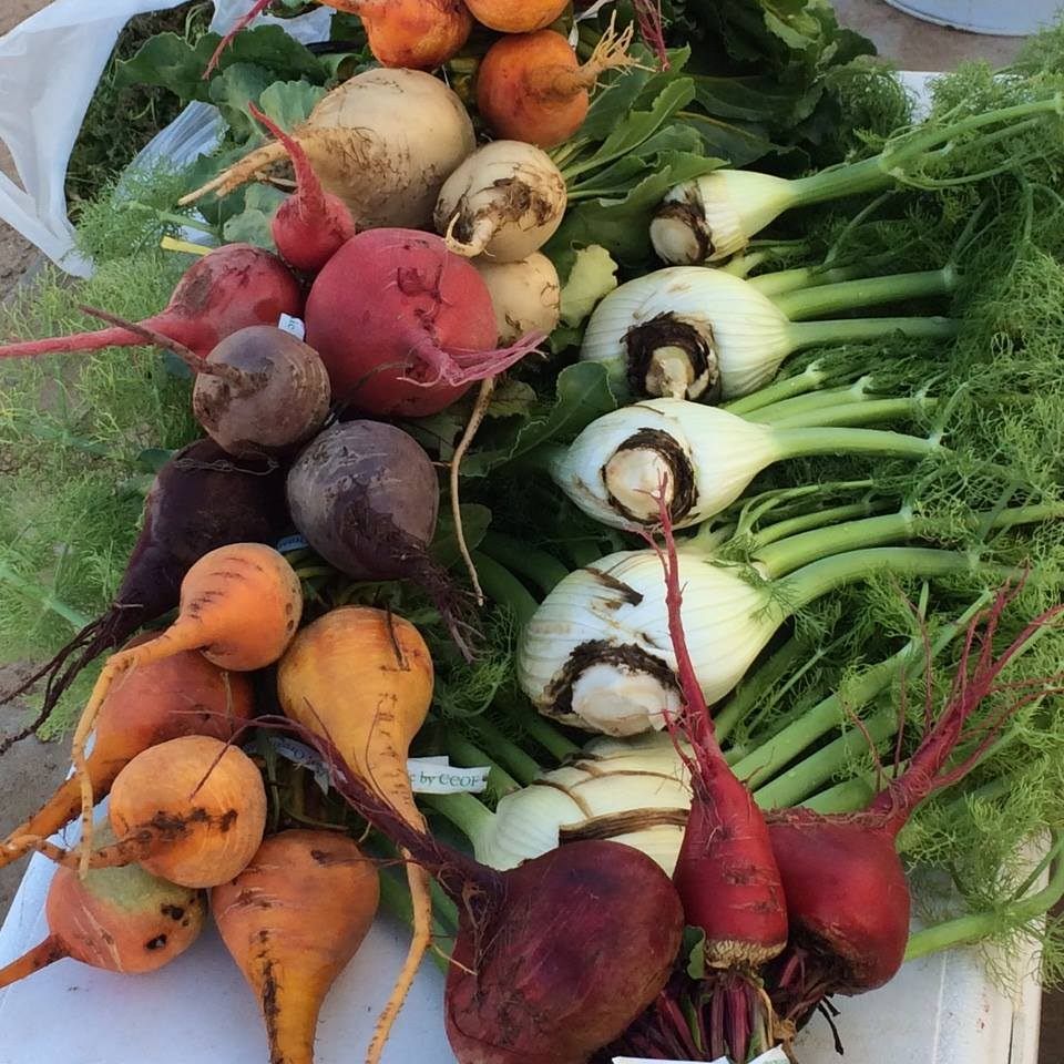 Yuma Farmers Market, Black Friday Weekend, Daytime, Yuma Community