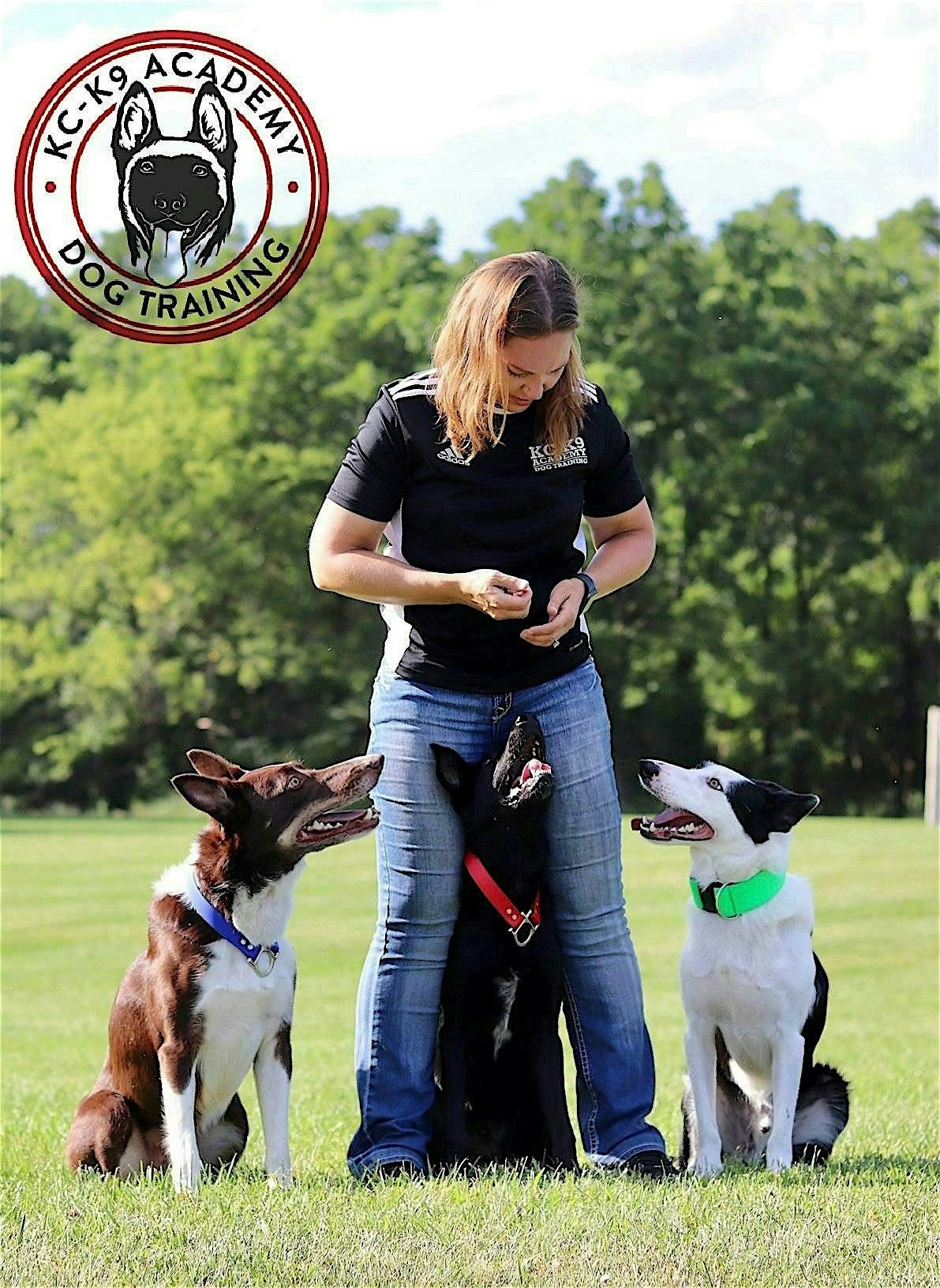 Dog Training Seminar, 11 January | Event in Hartland | AllEvents